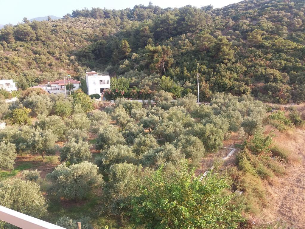 Zeus Apart Pansiyon Guzelcamlı Eksteriør billede